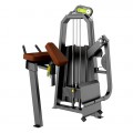       DHZ Fitness T1024 -  .       